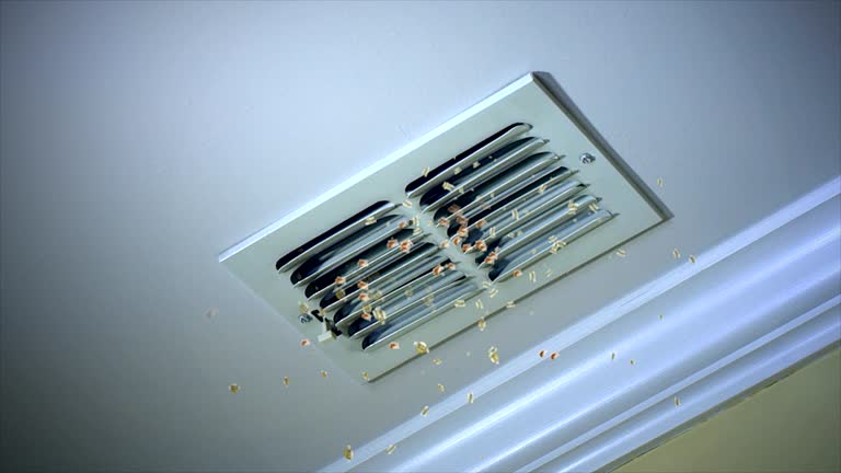 Best Dryer Vent Cleaning Services  in Iron Mountain, MI