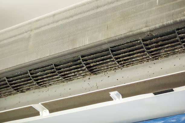 Best Home Air Vent Cleaning  in Iron Mountain, MI